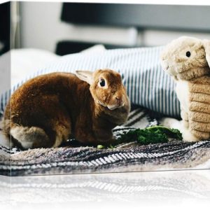 NWT Custom Canvas Prints with Your Photos for Pet/Animal, Personalized Canvas Pictures for Wall to Print Framed 8x10 inches