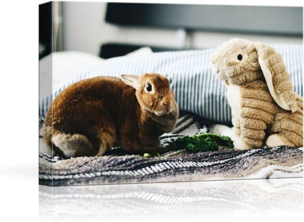 NWT Custom Canvas Prints with Your Photos for Pet/Animal, Personalized Canvas Pictures for Wall to Print Framed 8x10 inches
